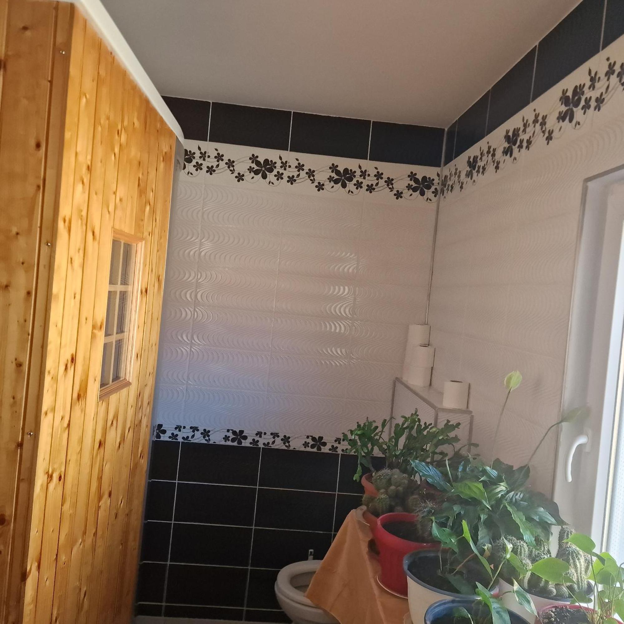 Casa Cojanu Hotel Petroşani Екстериор снимка