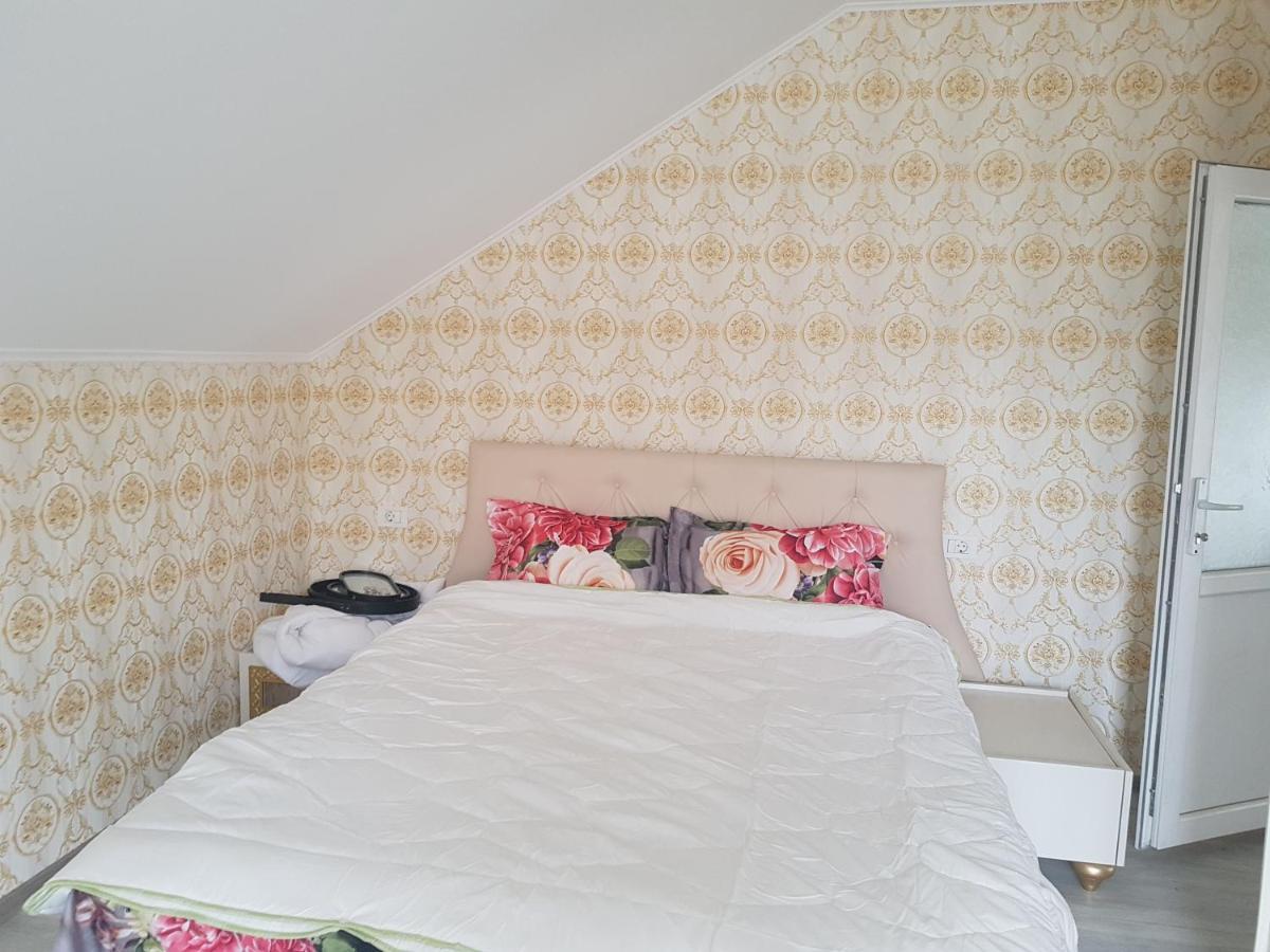 Casa Cojanu Hotel Petroşani Екстериор снимка