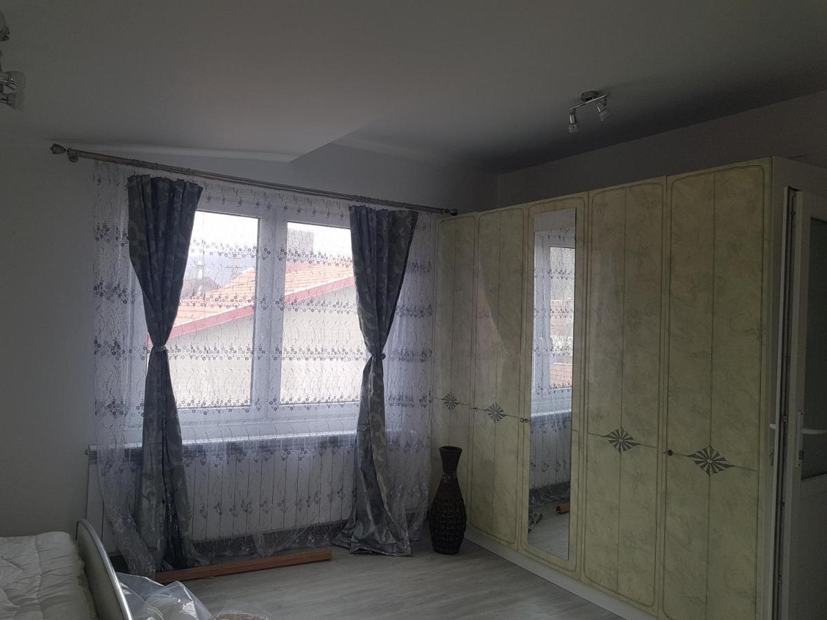Casa Cojanu Hotel Petroşani Екстериор снимка