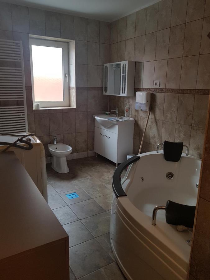 Casa Cojanu Hotel Petroşani Екстериор снимка