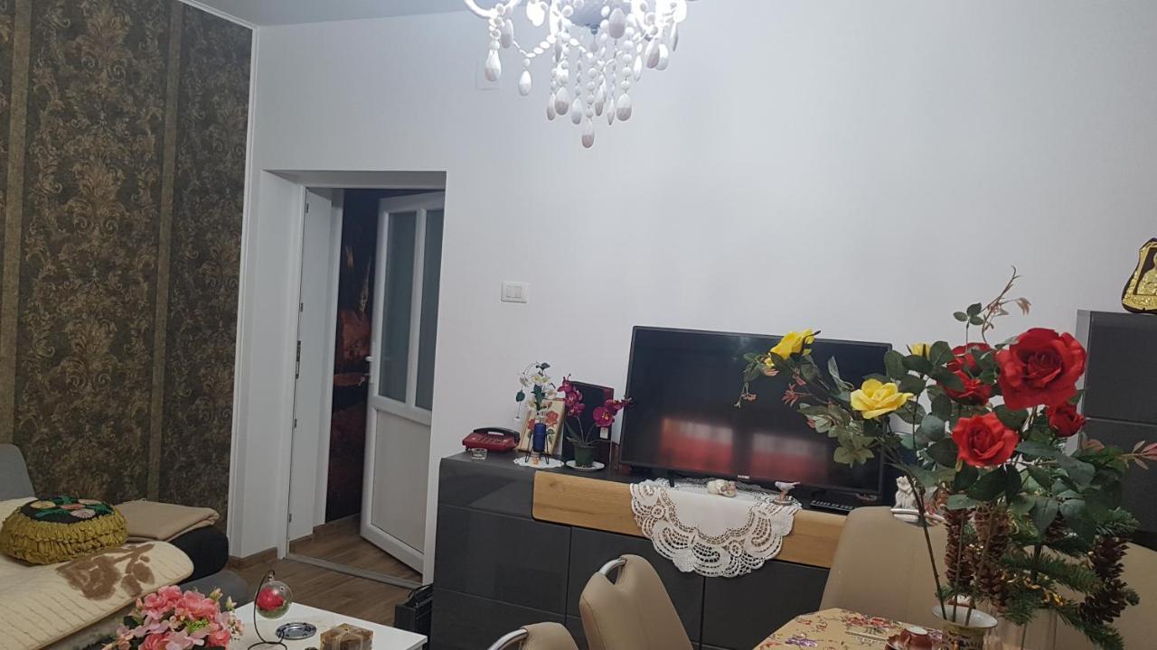 Casa Cojanu Hotel Petroşani Екстериор снимка