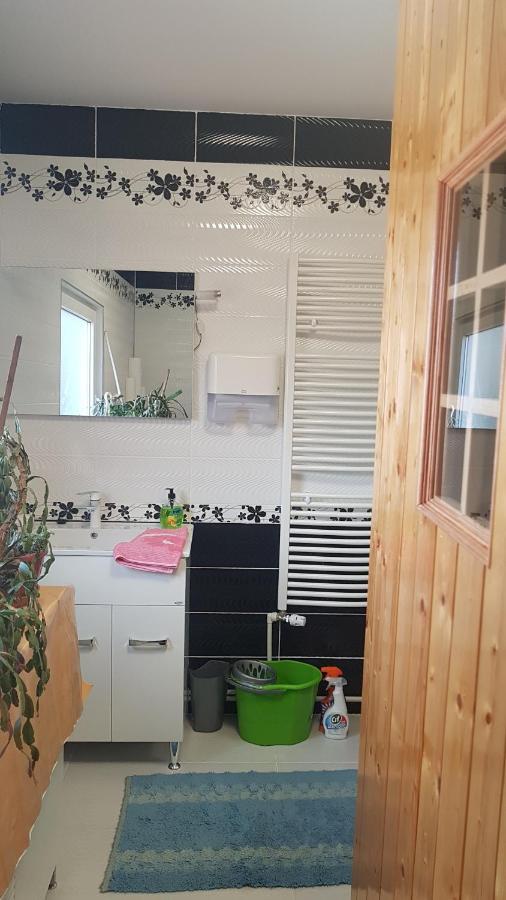 Casa Cojanu Hotel Petroşani Екстериор снимка