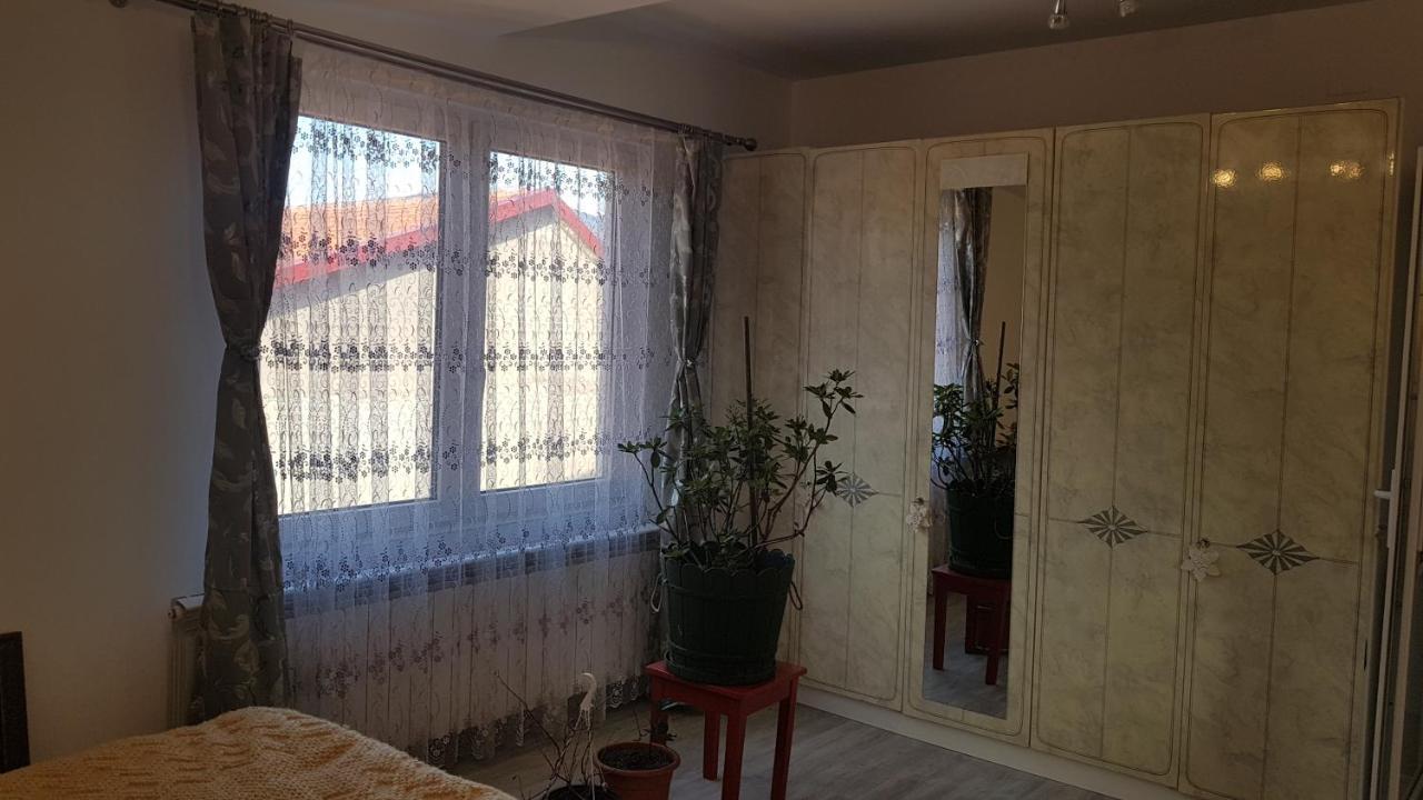 Casa Cojanu Hotel Petroşani Екстериор снимка