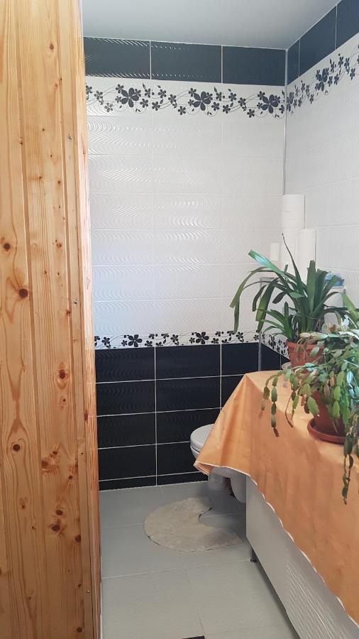 Casa Cojanu Hotel Petroşani Екстериор снимка