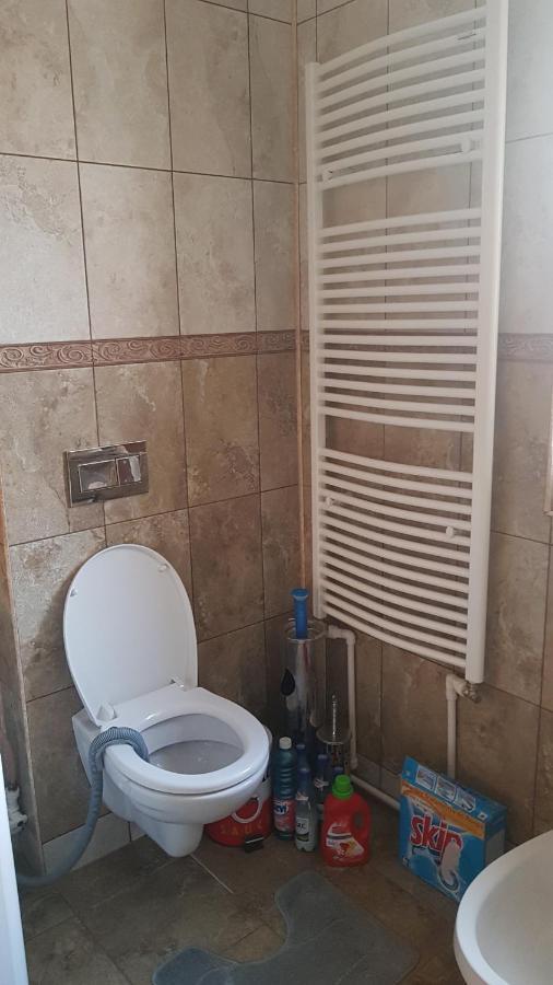 Casa Cojanu Hotel Petroşani Екстериор снимка