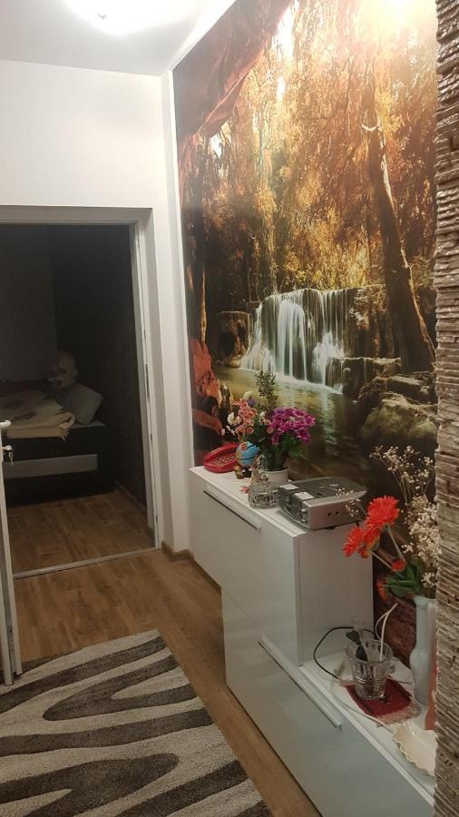 Casa Cojanu Hotel Petroşani Екстериор снимка